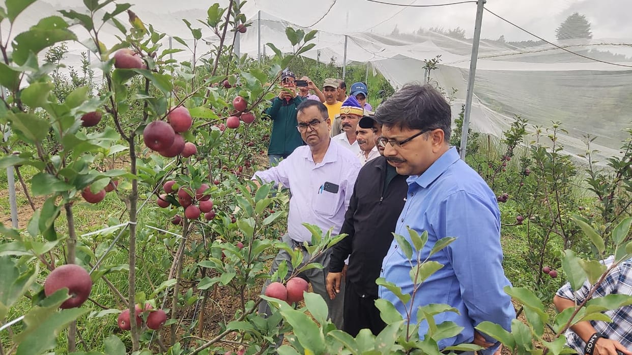 Farmers. becoming. financially. strong adopting. employment