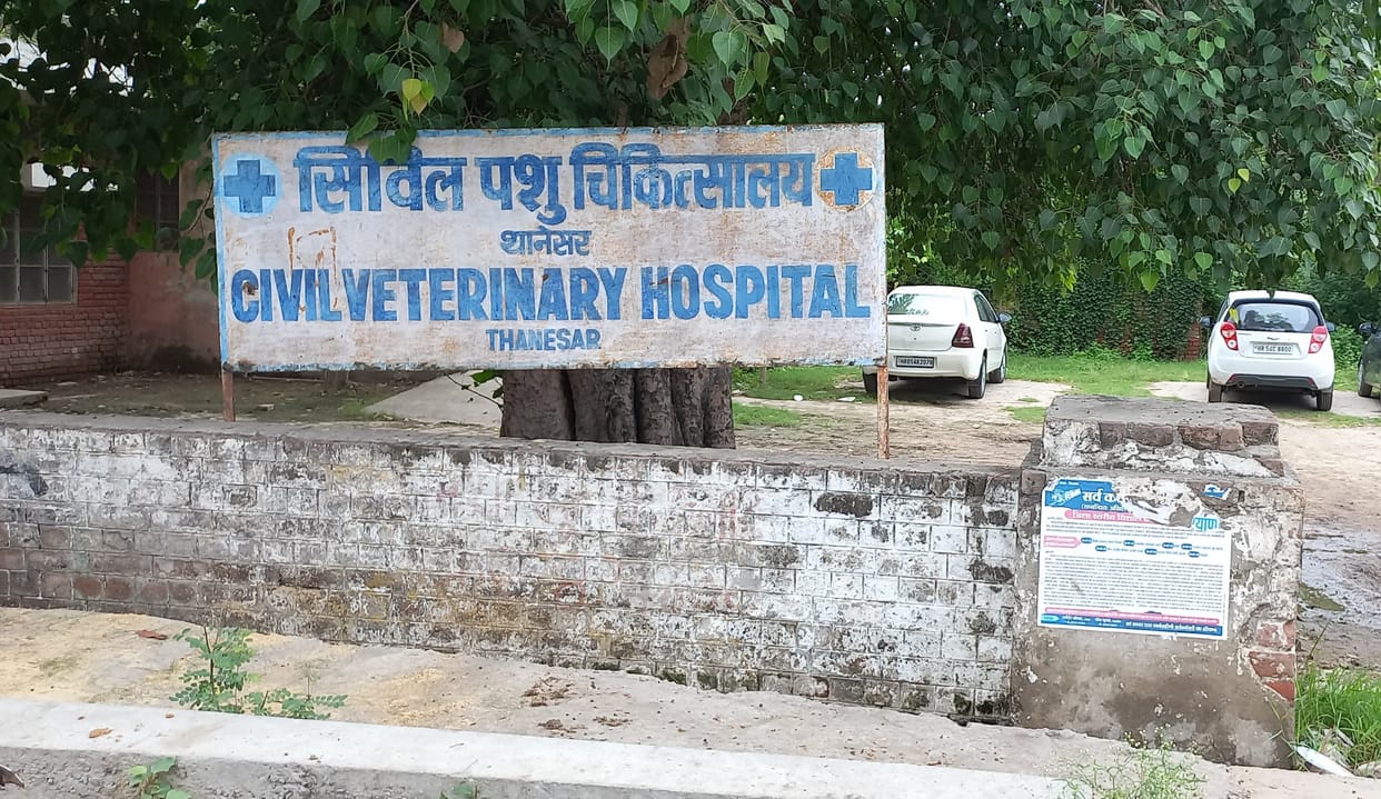 District gets 14 veterinarians, animal health services will be better