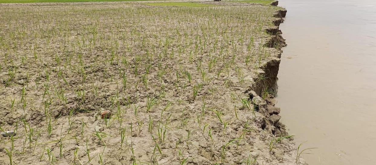 20 bighas of sugarcane and paddy fields covered in Saryu