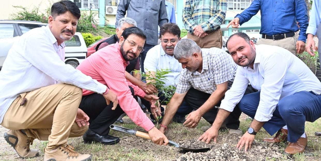 Nauni University planted saplings to enhance beauty