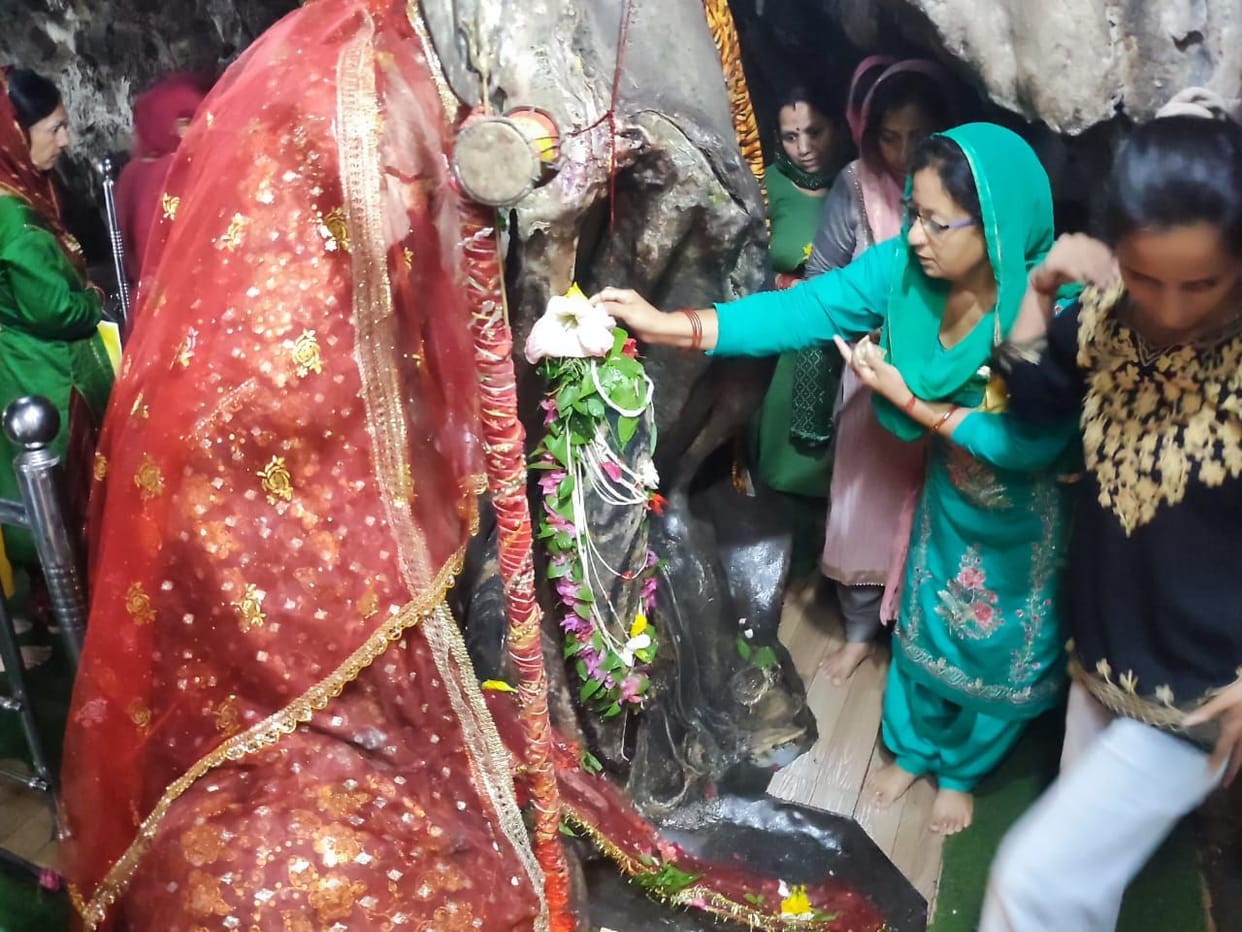 Devotees used hemp, datura, bilvapatra and

Jalabhishek of Lord Shiva was done with milk