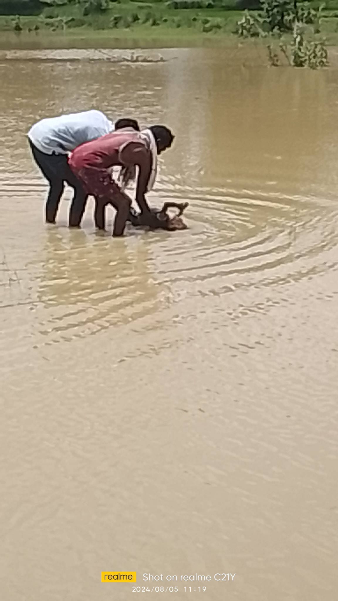 Shahdol News Two children died due to drowning in water incident of Jaisinghnagar police station area