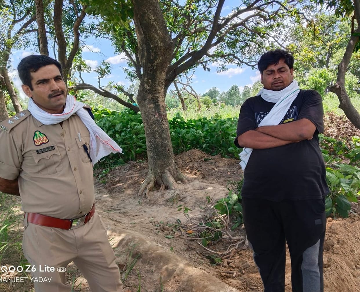 Ranger got 15 trees cut down with permission for 10