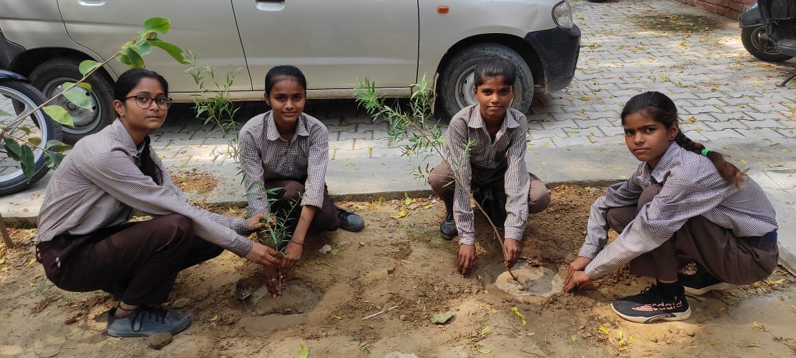 Instructions to dig up to 10 pits for plantation in government schools
