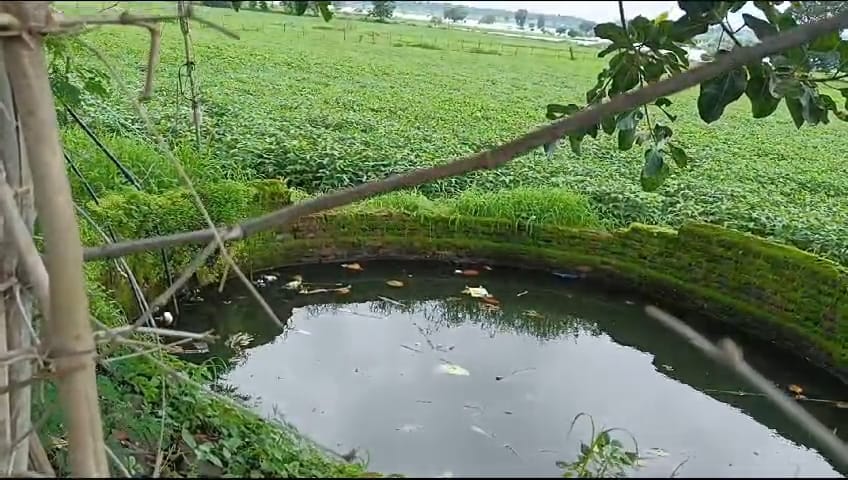 Bihar News: Diarrhea havoc after dengue in Gaya, two innocent people died; 17 still hospitalized