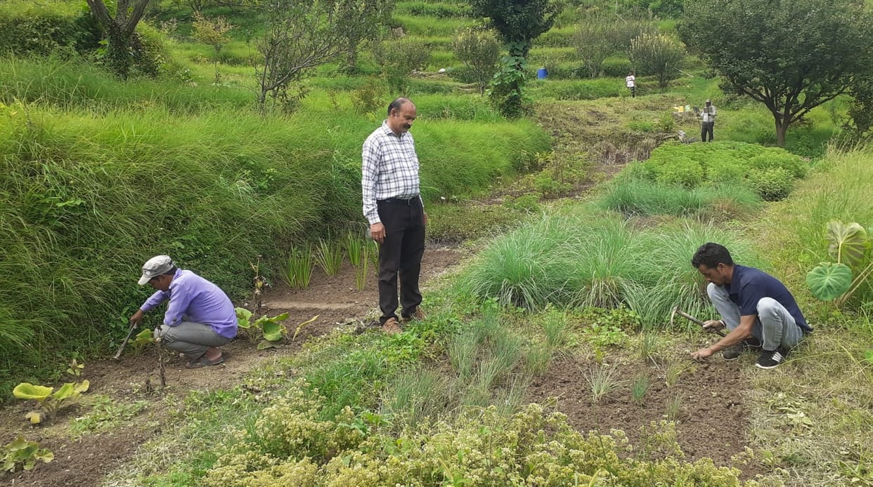 High quality Timur will be produced in marginal districts