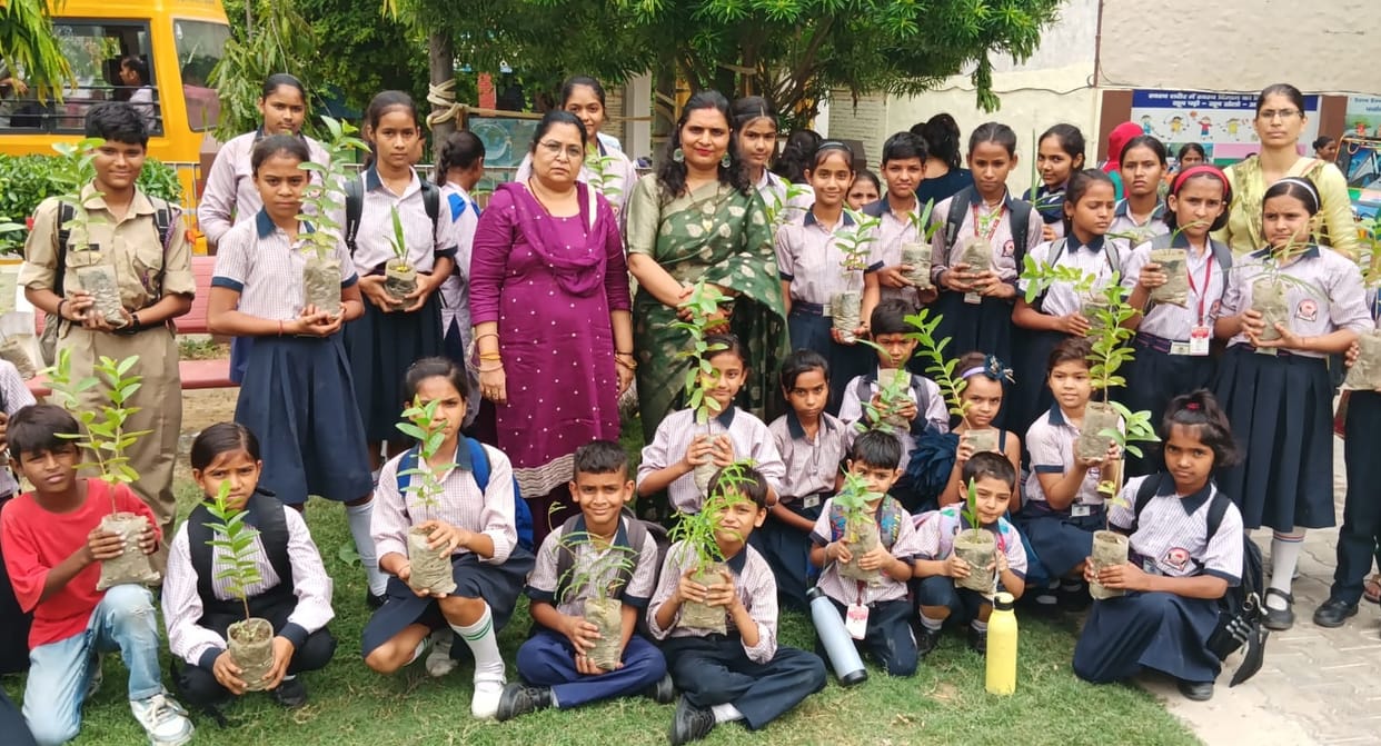 Saplings planted on the occasion of Teej