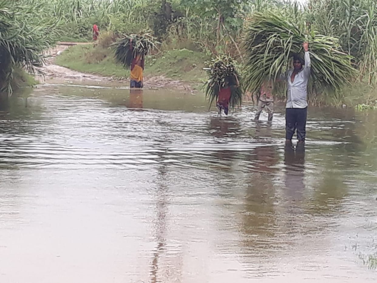 Broken railing of Rapta bridge, villagers' lives at risk