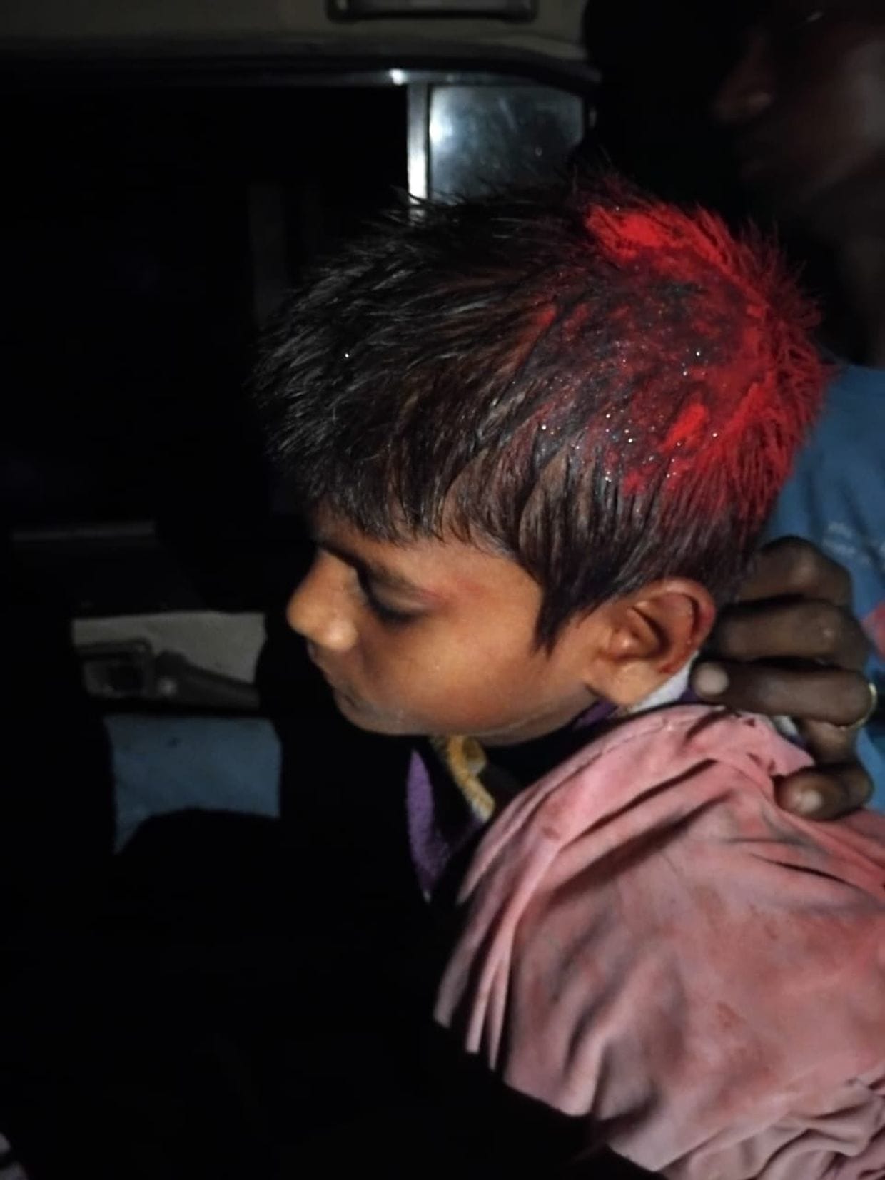 Mother encounters wild animal, saves son's life