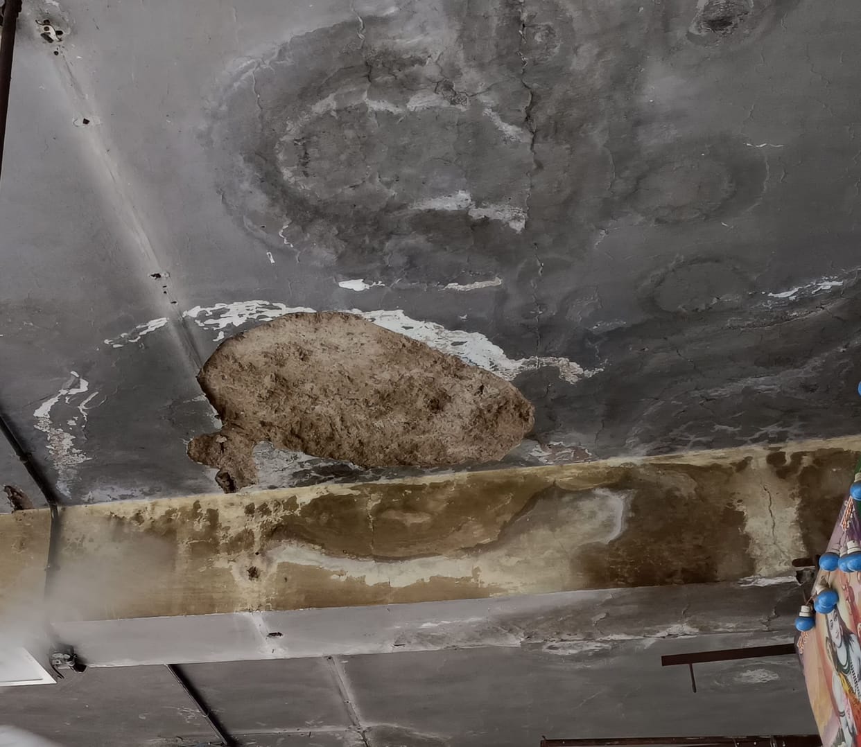 Kunihar bus stand and buildings are in dilapidated condition, plaster falling from roof and walls.