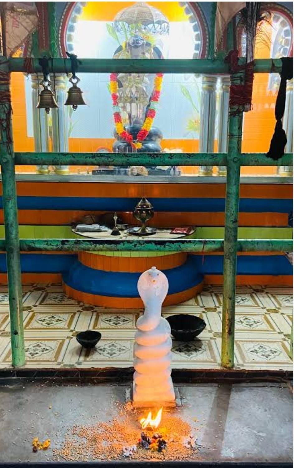 Nag Panchami will be celebrated in the auspicious coincidence of Hasta Nakshatra.