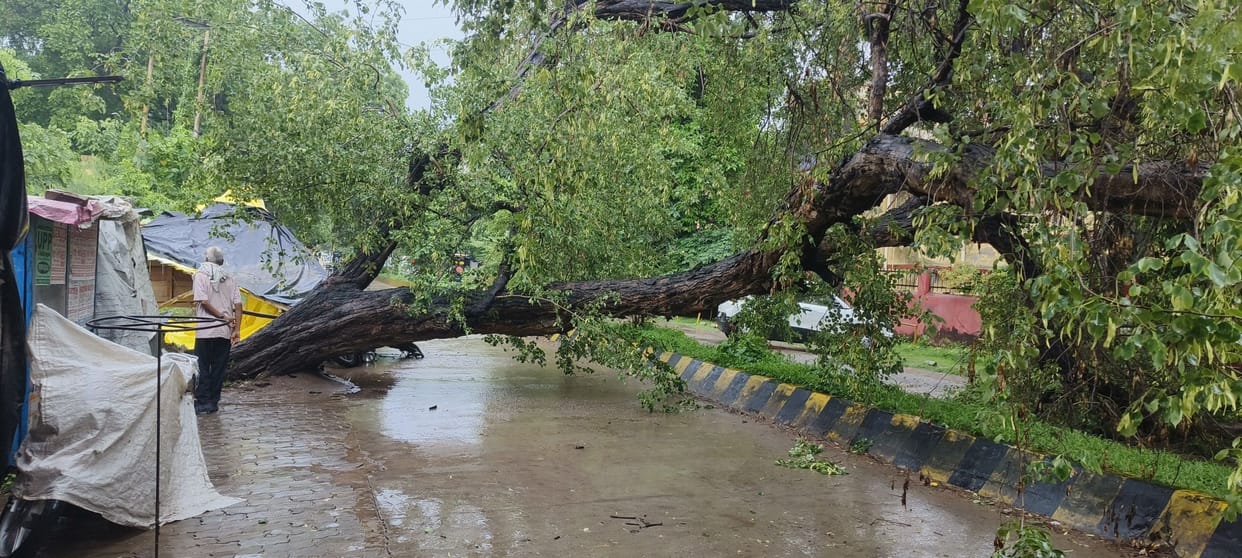 Heavy rain gave relief from humidity