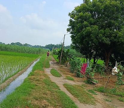 Ayodhya News: Electricity connection given with the help of a pole Electricity connection given with the help of a pole