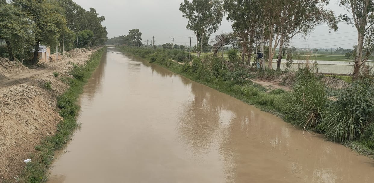 water level increased in canals
