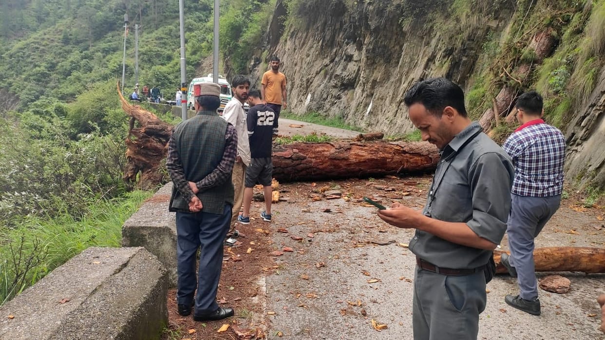 Tree fell on the line, darkness engulfed 15 panchayats of Sainj