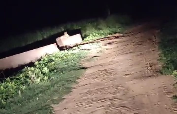 Seeing a leopard sitting on a culvert, Padli Mandu-Khadana road jammed for half an hour