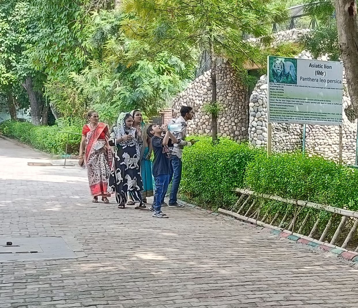 Now tickets in Mini Zoo are Rs 20 for children and Rs 30 for adults.