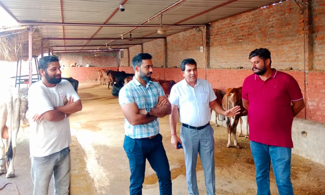 Kadaknath will meet in Jalgran Poultry Farm in October: DC