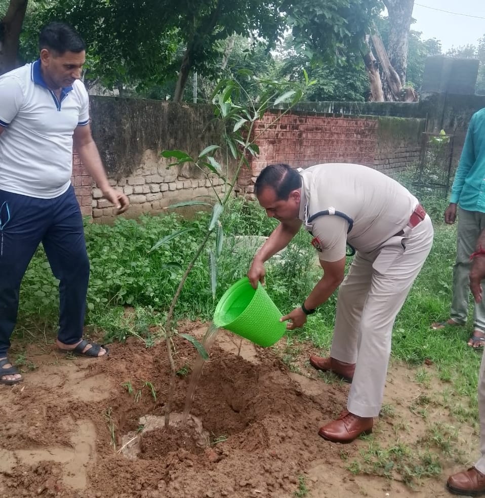 Planting trees is necessary for environmental protection: Pawan Kumar