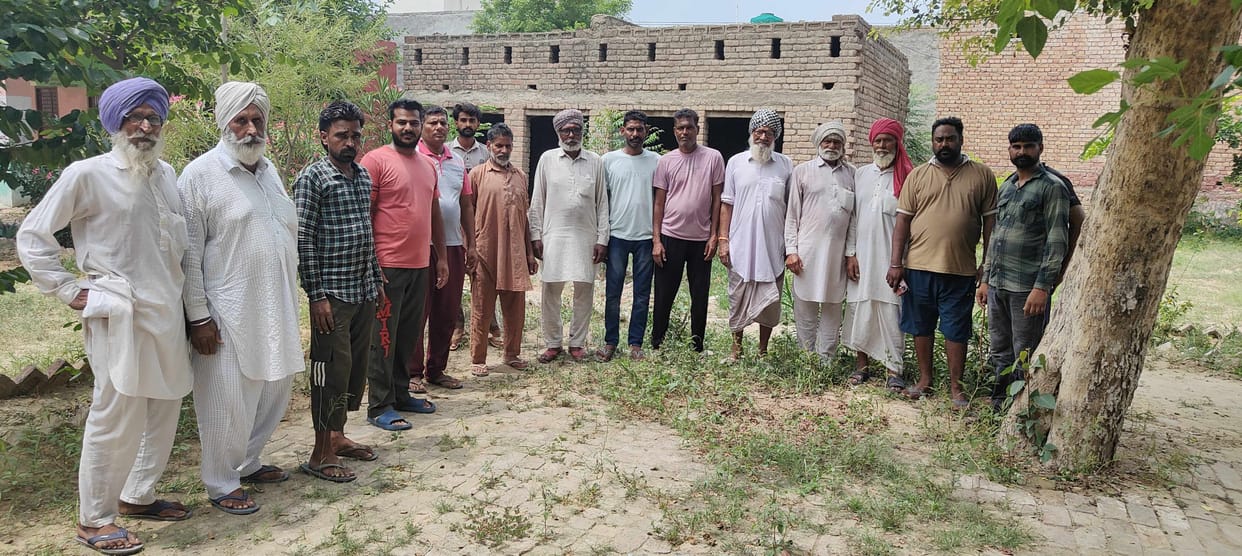 Trees were cut in a government school, no action was taken even after complaint