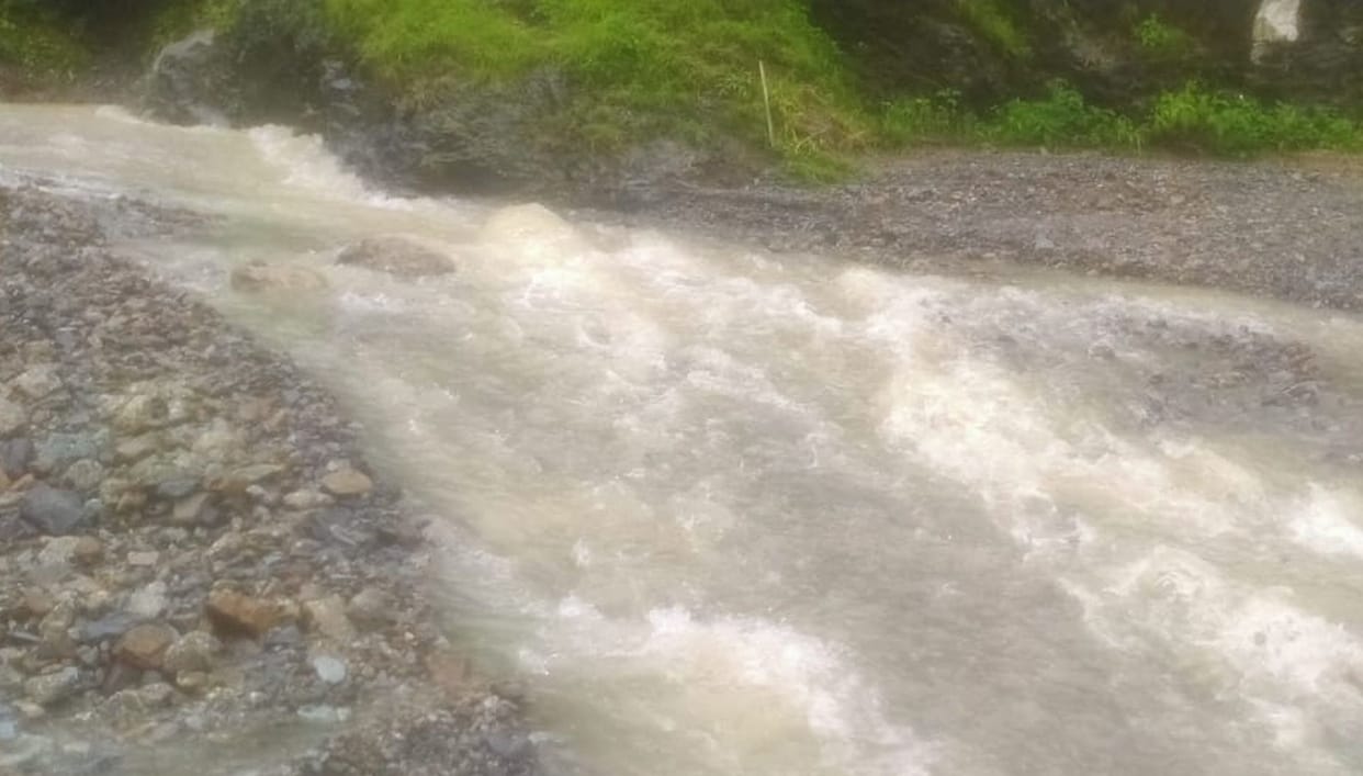 Three cowsheds, two houses damaged due to heavy rains