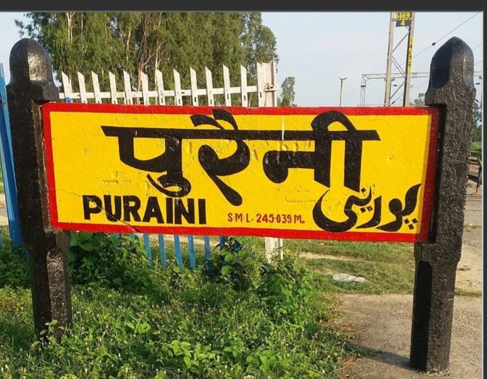 First wood carving, now Puraini is known for government jobs
