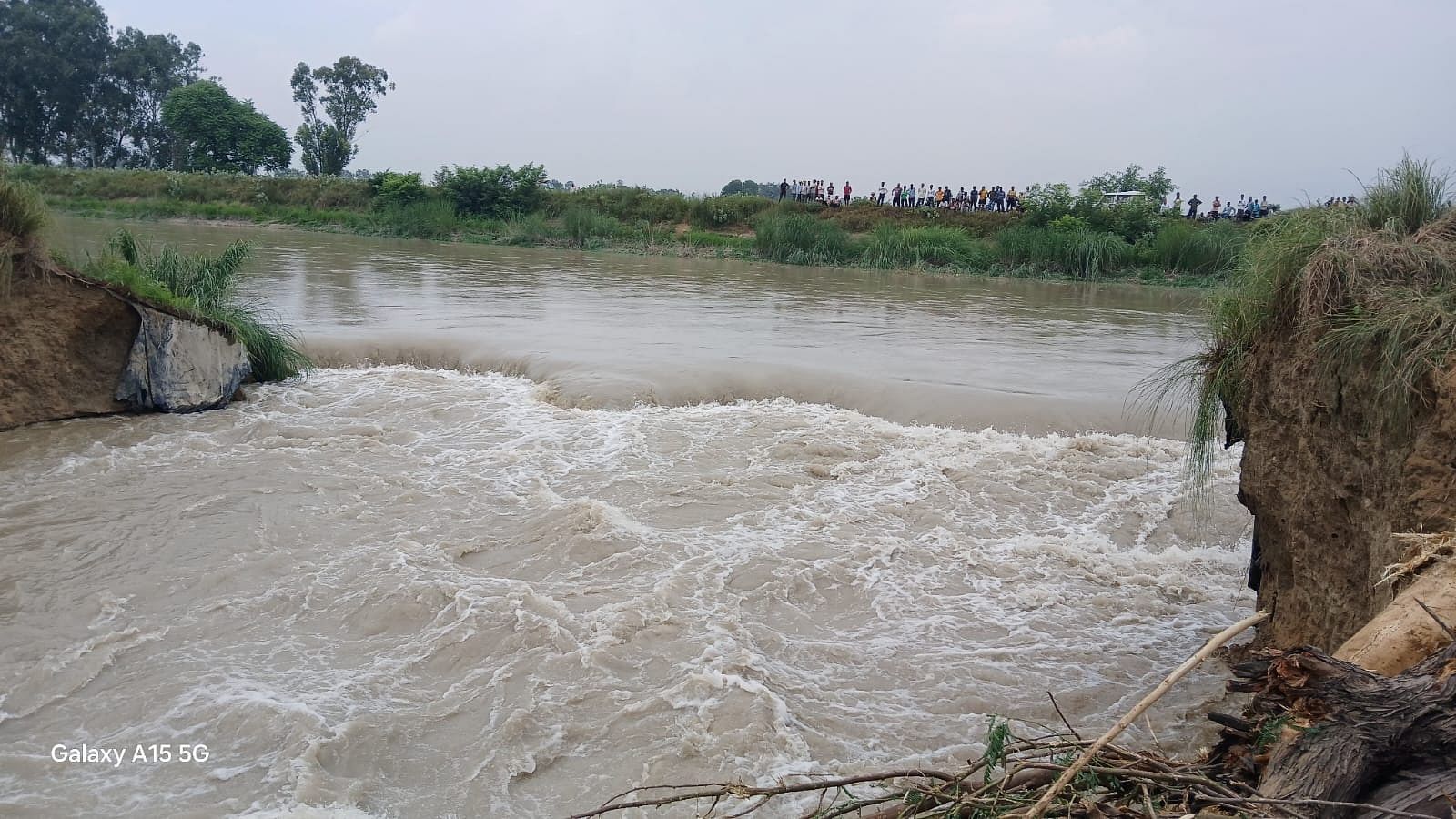 Thousands of bighas of crops submerged due to canal track being cut