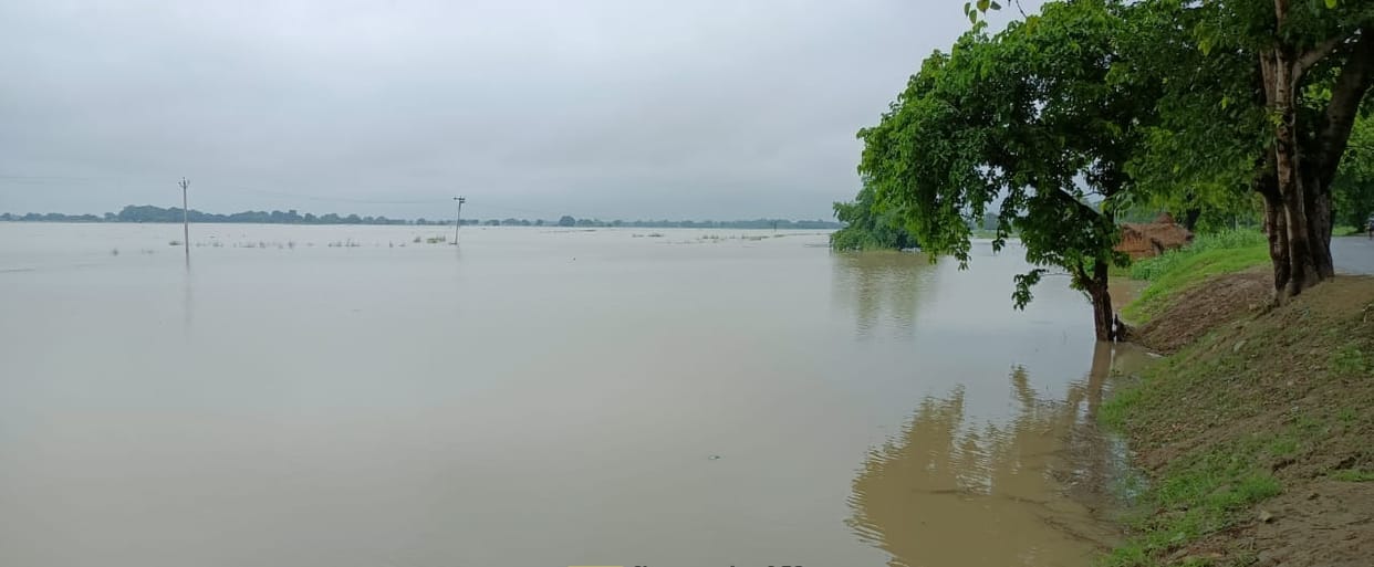 Saryu water level stabilizes in Bhagalpur, panic continues