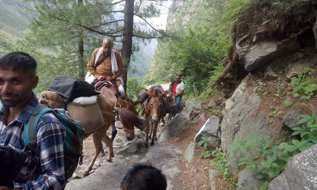 Manimahesh Yatra ... Rent for staying in tents will not increase, food will be available at last year's rate
