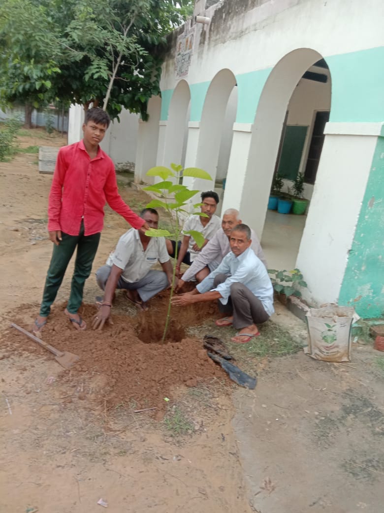 Saplings planted in Gudiani School