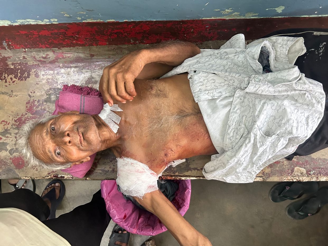 Tiger hiding in sugarcane attacks old man