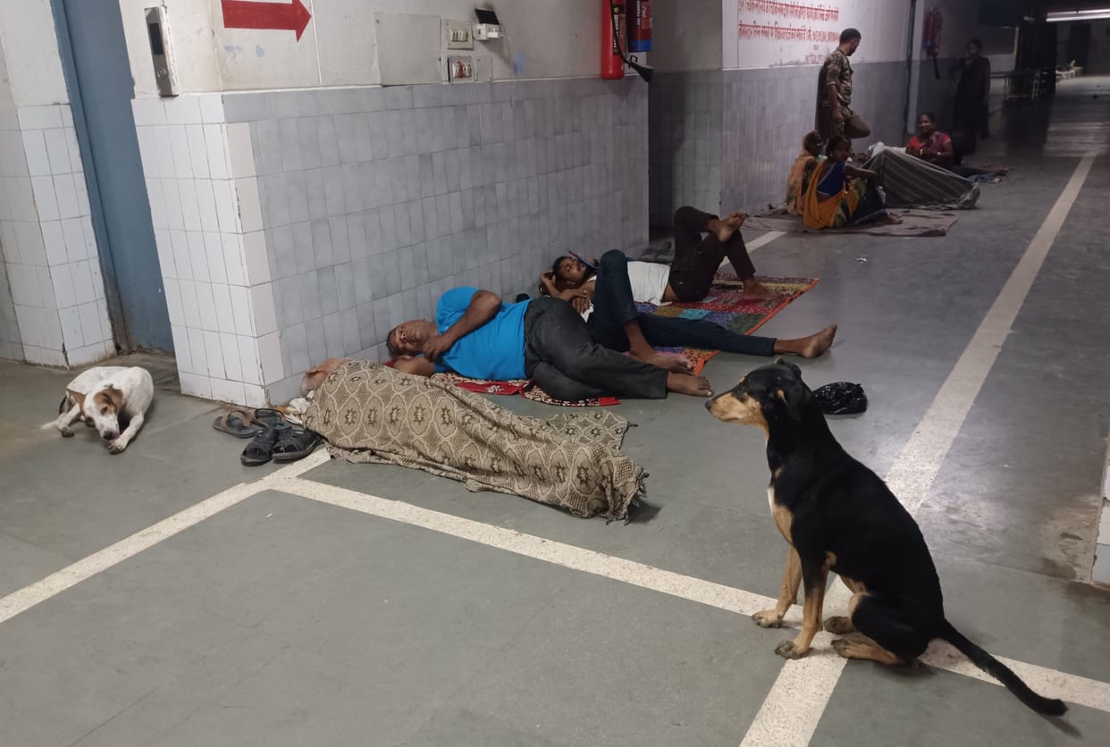 Be alert...they have come to the hospital for treatment, dogs will scratch them
