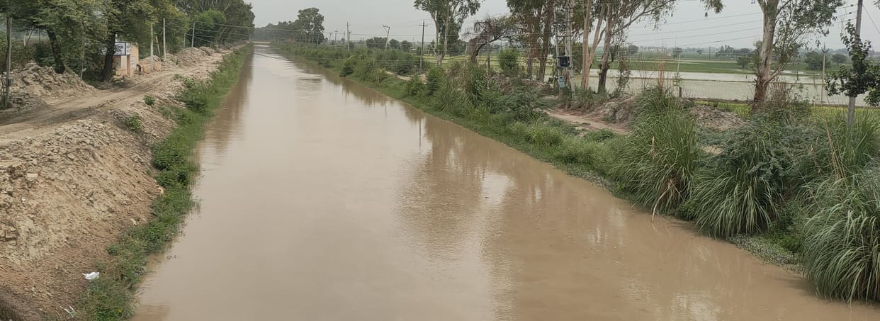 water reached upto last point of canals