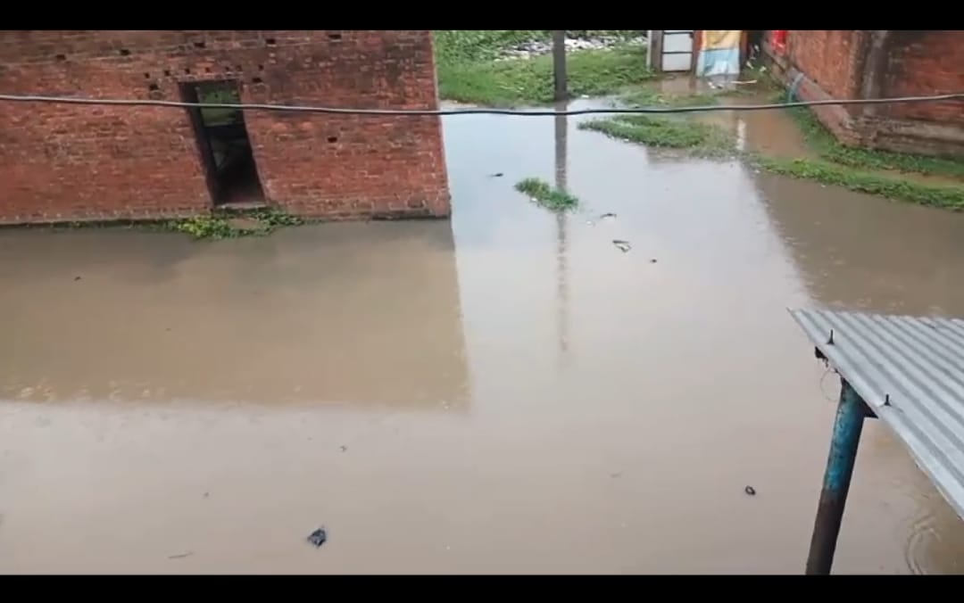 Rain: Waterlogging becomes a disaster, trees fall... power supply also disrupted
