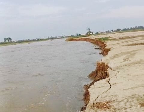 Soybean and paddy crops ruined due to swollen rivers