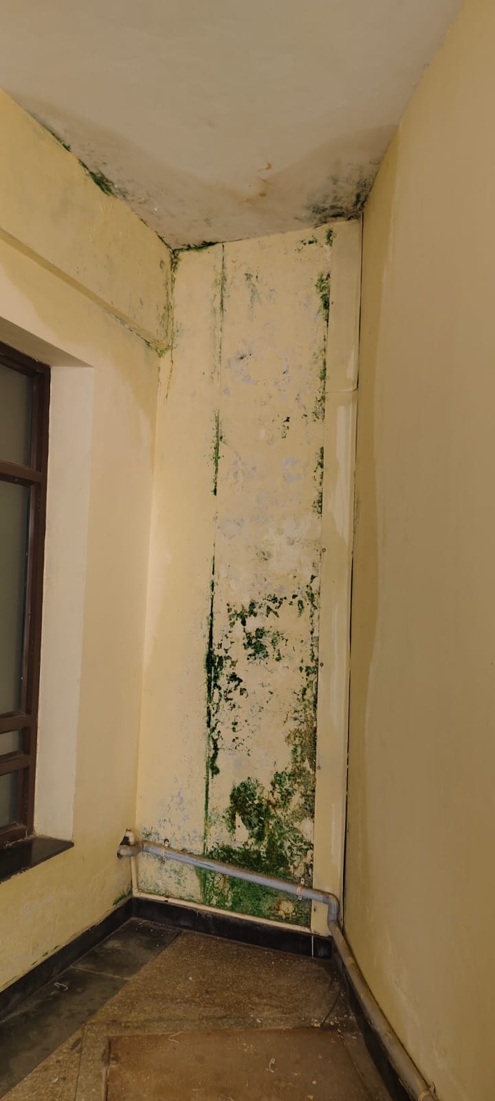 Dampness in the Cantonment Civil Hospital, tiles started falling