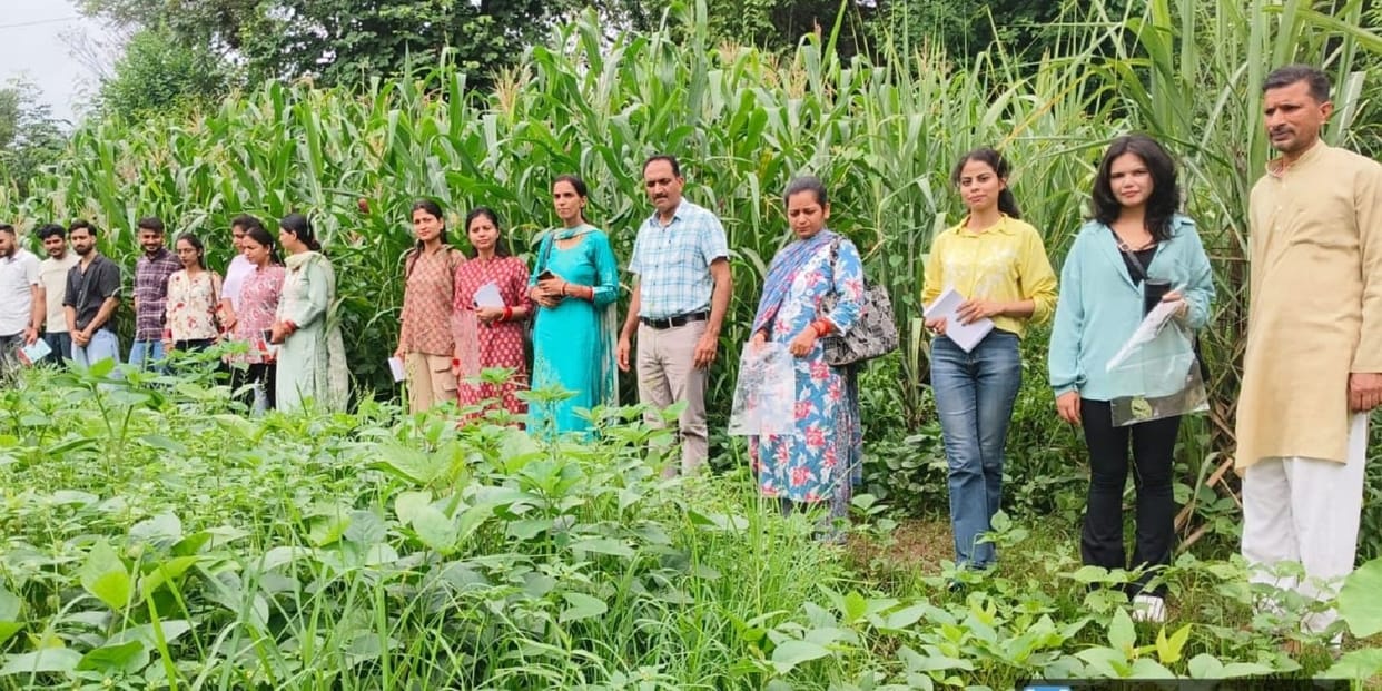 Agriculture officers given training on integrated pest management
