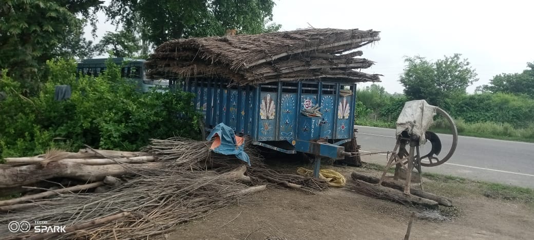 Two houses of Naya Pind village submerged in Mohana river
