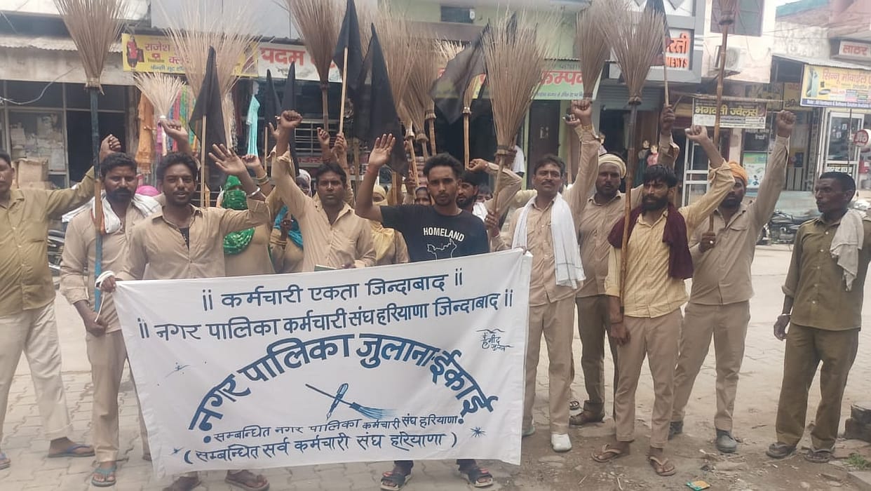 NAPA sweepers demonstrated with brooms