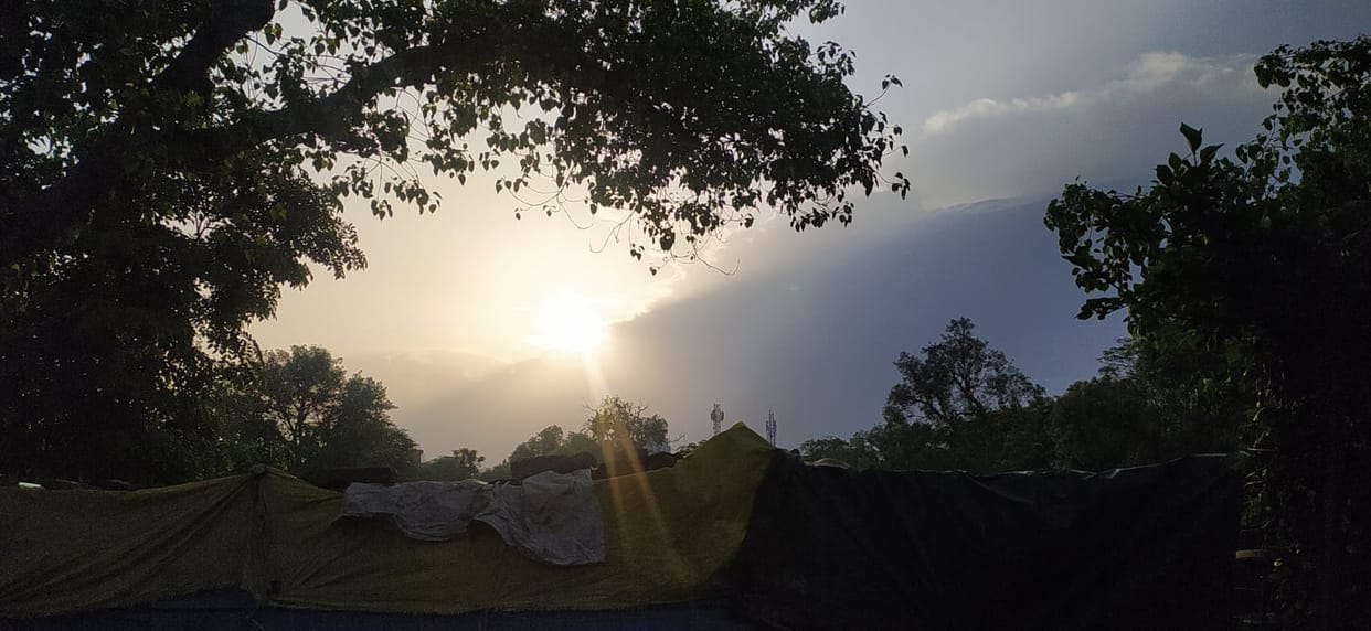 After two days of rain, the sun came out and troubled me.