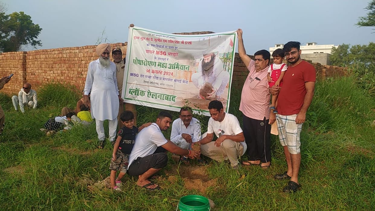team planted trees