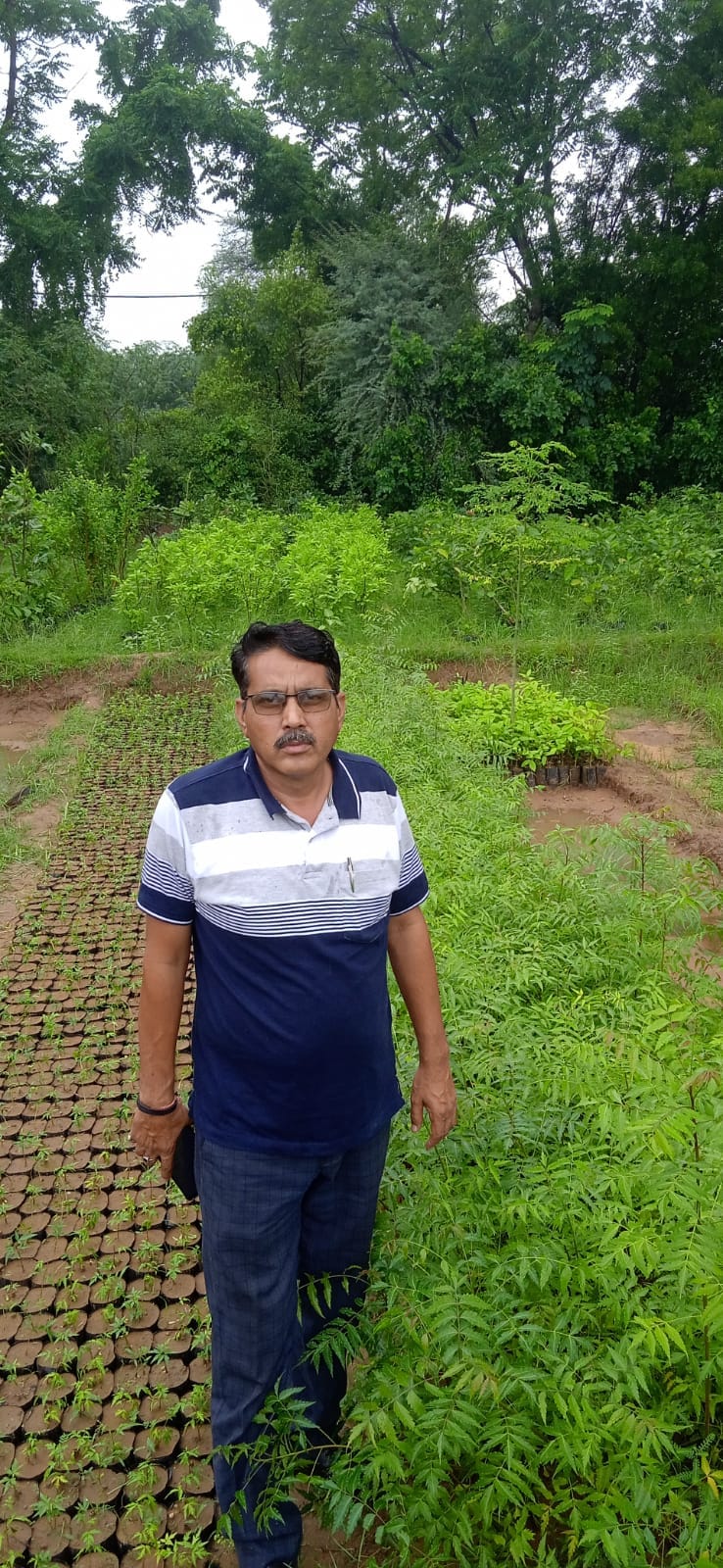 Target to distribute 35 thousand saplings