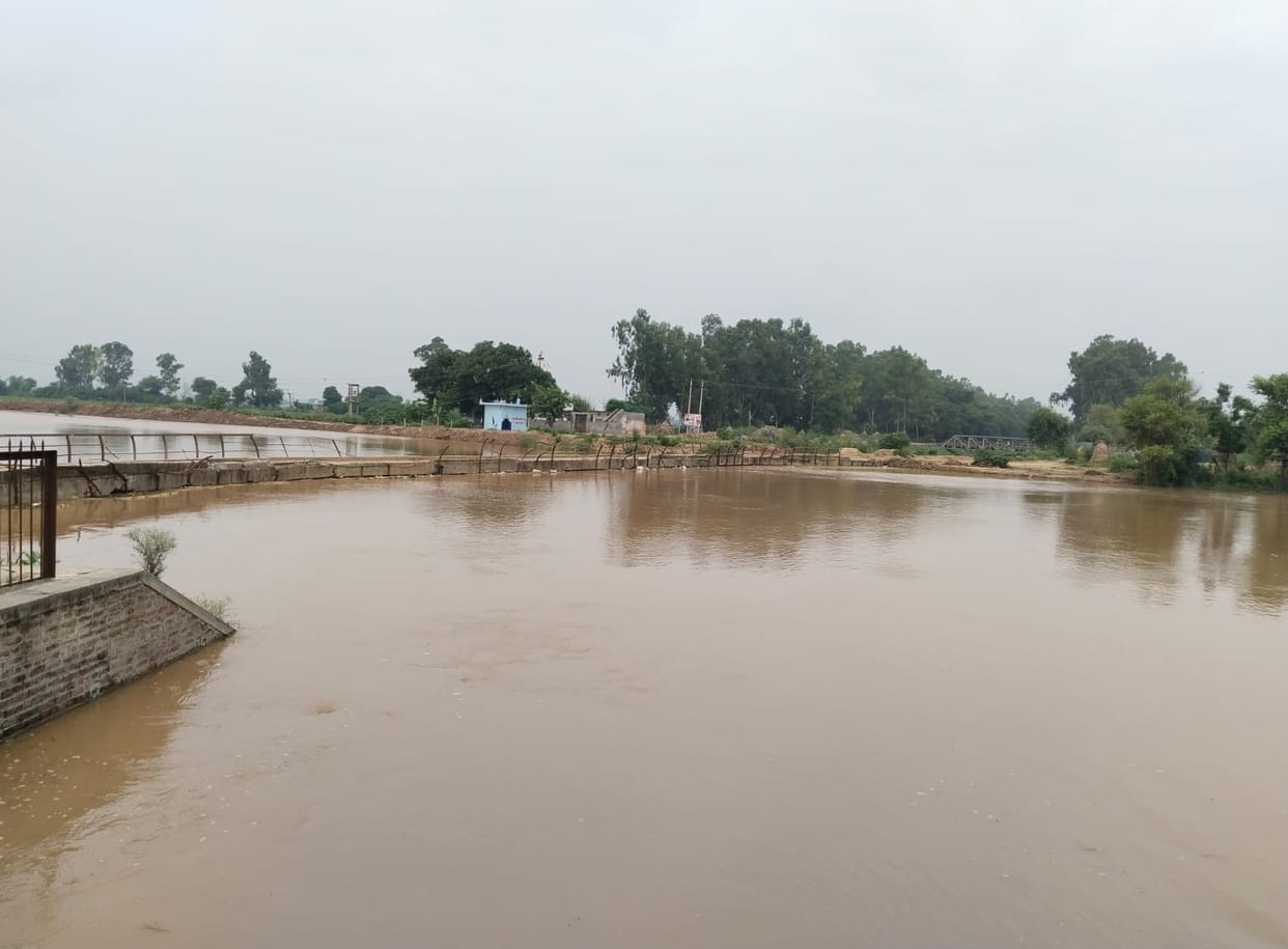 Markanda river rises again, creates fear among farmers and camp dwellers