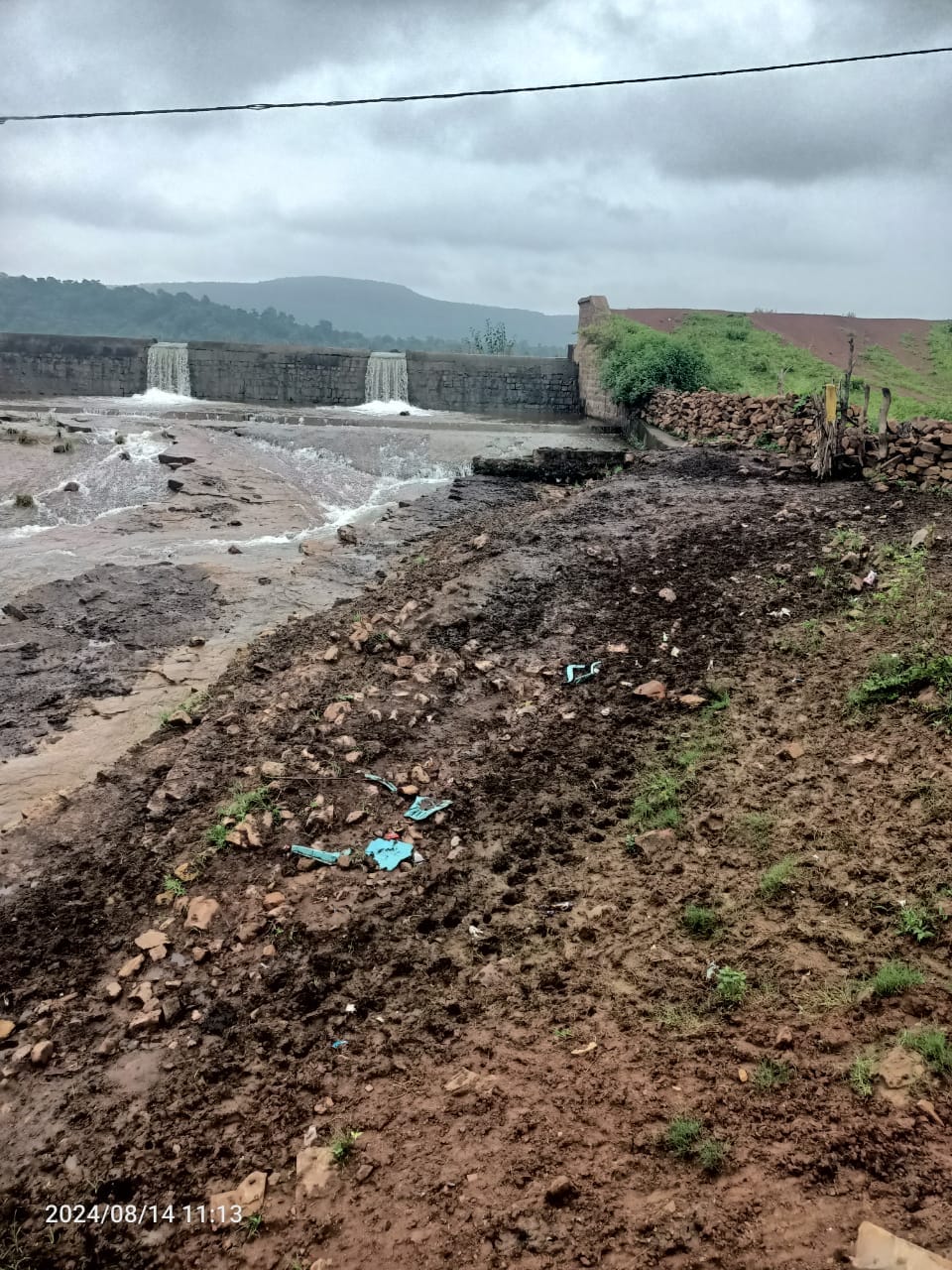 Damoh Animals captured in Bandarkola reservoir were freed, action will be taken against cruel farmers