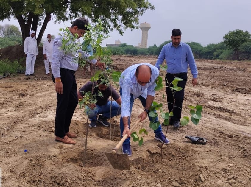 Municipal Corporation claims - 25 thousand plants were planted under the campaign 'Ek Paudha Maa Ke Naam'