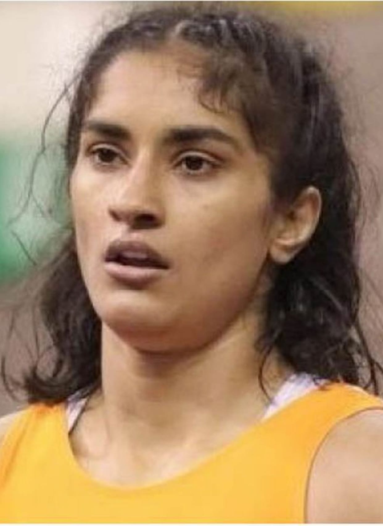 Vinesh Phogat will reach her ancestral village Balali today
