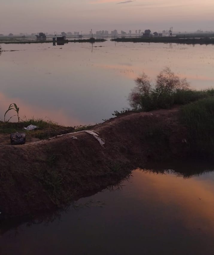 350 acres of paddy crop of 70 farmers drowned