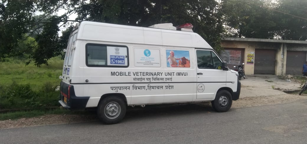 The ambulance that arrived for the injured bull proved to be a white elephant.