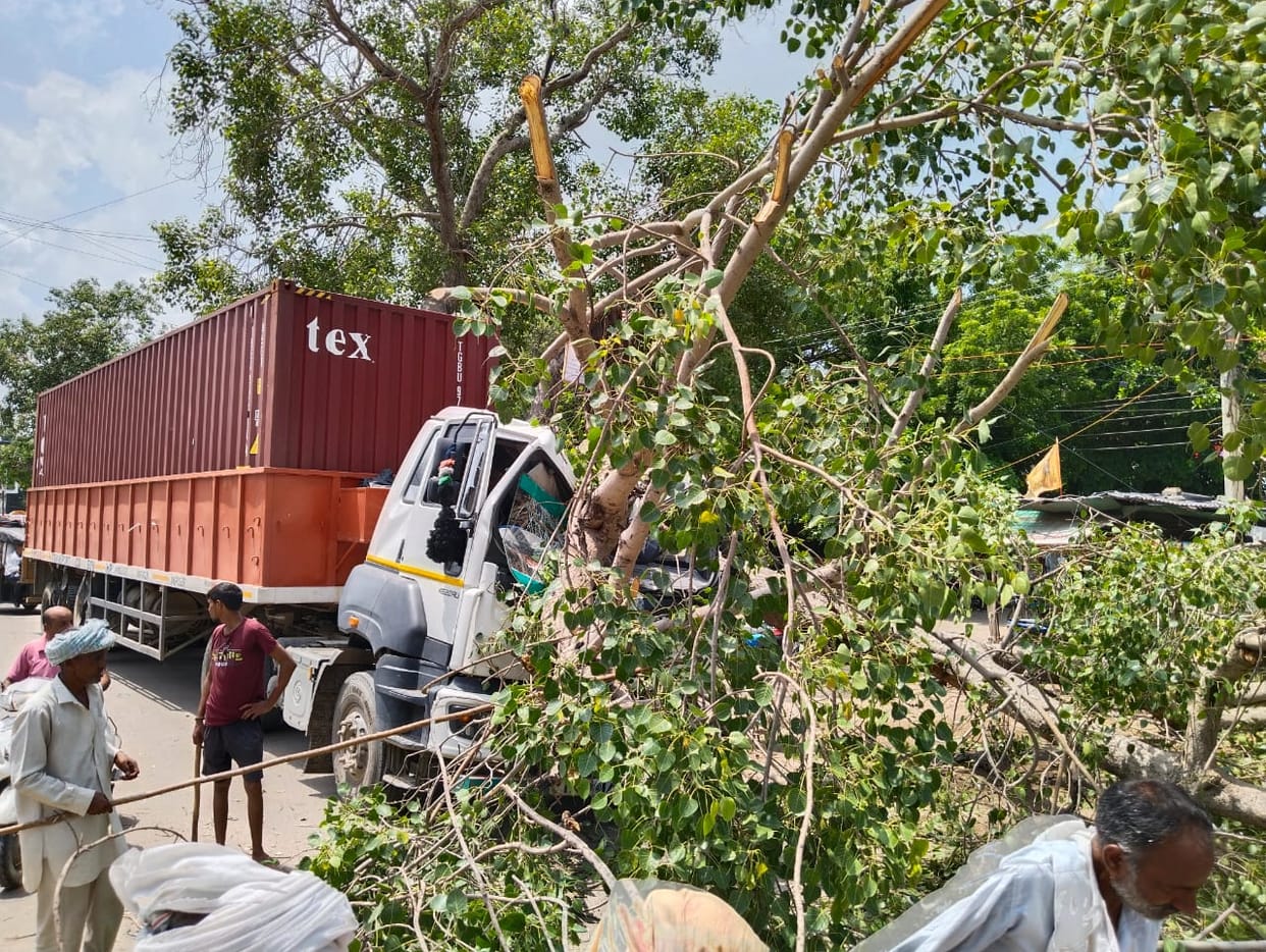 Peepal branch fell on the container, narrowly escaped