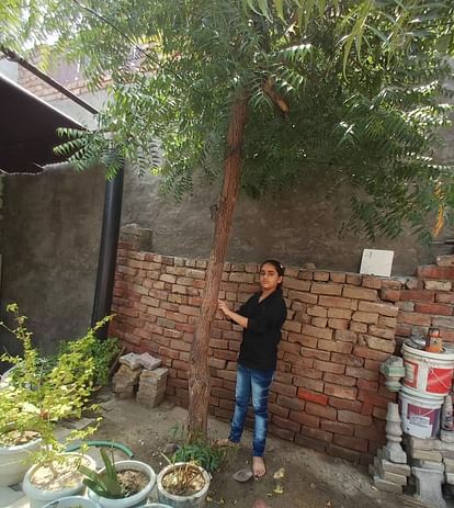 Rakshabandhan festival celebrated by tying Rakhi to trees